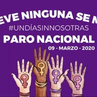 Convocan a mujeres a marcha y paro nacional para el 8 y 9 de marzo