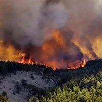 Fuego en la Patagonia: analizan sumar la Ley de Emergencia Ígnea al temario de las extraordinarias