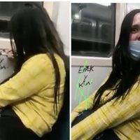 Captan a una joven pintando con un plumón dentro del Metro y la convierten en #LadyRayaVagones