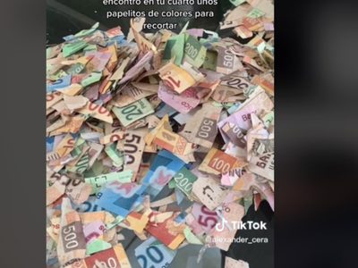 Niña recorta los ahorros de su primo para hacer “papelitos de colores” (Video)