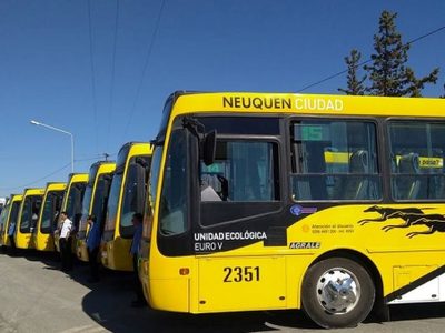 Autobuses Neuquén: "Si no llegan los subsidios, no hay forma de pagar los sueldos"