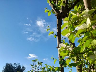 Así estará el tiempo en Mendoza este sábado