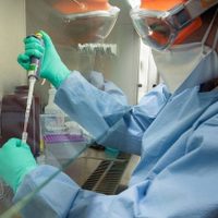 Neuquén suma dos nuevos casos de coronavirus