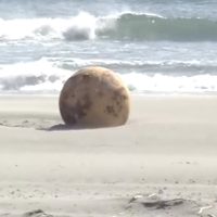 Encontraron una misteriosa esfera redonda en una playa de Japón
