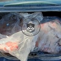 Robó en una carnicería de Neuquén y luego fue atrapado