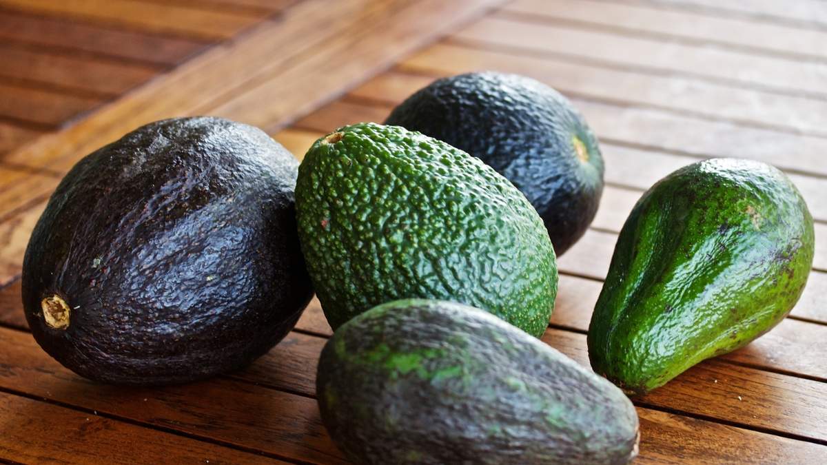 Palta. Fuente: (X)