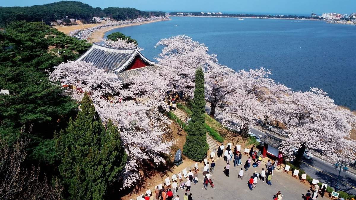 El hecho ocurrió cerca de la ciudad de Gangneung. Fuente: (Twitter)