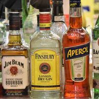 No tires la botella de licor cuando se termine: creá este fanal súper delicado para tener en casa