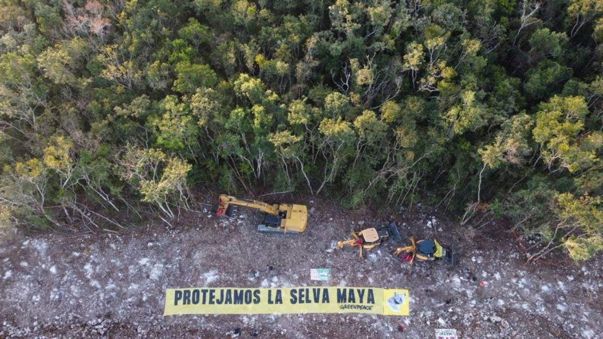 Protejamos la selva maya