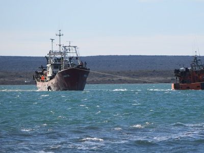 Alerta: por un caso positivo, la tripulación de un barco pesquero está aislada