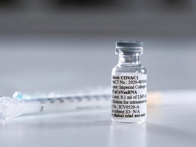 La OMS estima “cientos de millones” de vacunas para el coronavirus a fin de año