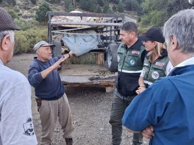 Terminó la veranada y el Gobierno acompañó a los crianceros en la trashumancia de regreso