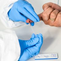 Cuánto tiempo duran los anticuerpos de las personas infectadas de coronavirus: nuevo estudio