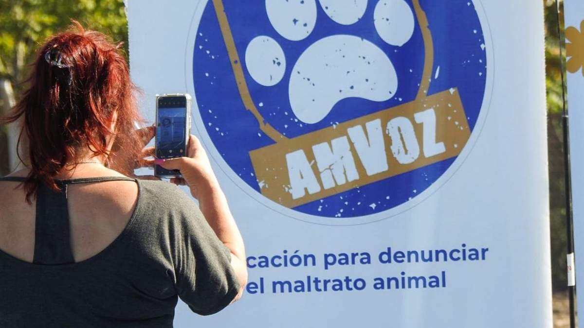 La plataforma es una herramienta para combatir el maltrato animal. Fuente: (Neuquén Informa).
