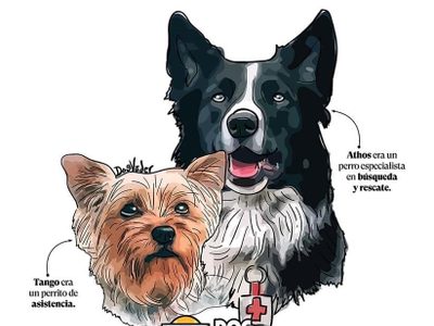 ¡Histórico! Inicia primer juicio de maltrato animal por asesinato de perros Athos y Tango