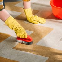 Trucos caseros y fáciles para limpiar tus alfombras y dejarlas como nuevas