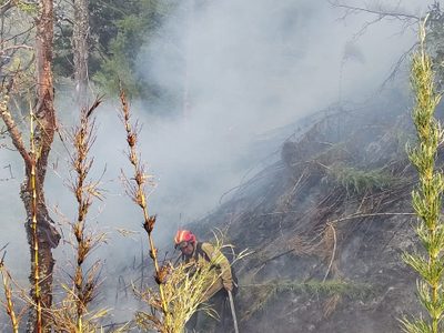 Trabajan para contener el incendio forestal en Valle Magdalena, que ya afectó más de 22.000 hectáreas