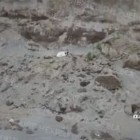 Captan a otro perro dentro del socavón, pero autoridades de Puebla no lo localizan