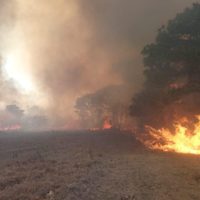 Incendio forestal activa alerta atmosférica y suspensión de clases en Zapopan