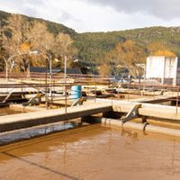 Por una disputa entre el Municipio y la Cooperativa de Agua Potable, podría suspender el tratamiento de efluentes