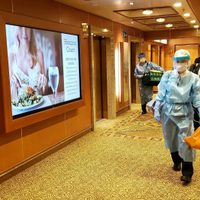 Confirman que ya son 41 los infectados por el coronavirus en el crucero varado en Japón