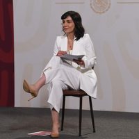 García Vilchis niega que libros de AMLO serán parte del plan de estudios de la SEP