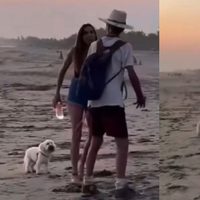 Captan a extranjera agrediendo a un perro y a un joven en playa de Oaxaca