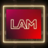El duro golpe que recibió "LAM"