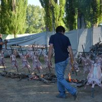 El turismo del finde largo generó ingresos cercanos a los $600 millones en Neuquén