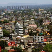 Se respiran en el aire de CDMX bacterias que causan laringitis, asma, edema pulmonar y hongo negro