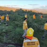 La rápida intervención de brigadistas permitió sofocar un incendio de vegetación en el norte de Neuquén