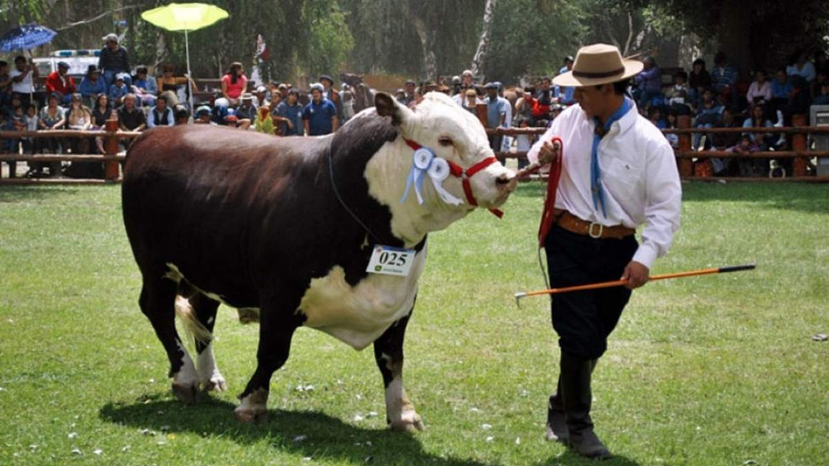 Este año 2020 todo será de manera virtual en la tradicional Expo. Fuente: (Twitter).