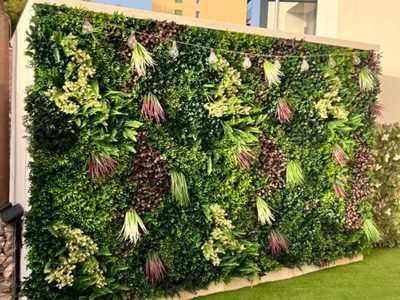 Cómo armar un jardín vertical y las mejores plantas para llenarlo de vida