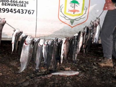 Inspectores de Fauna de Neuquén detectaron actividad de pesca ilegal en Collón Curá