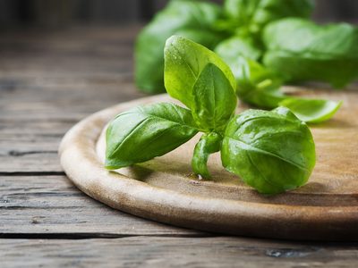 Lo que necesitás saber sobre la albahaca: la planta de interior aromática, medicinal y comestible