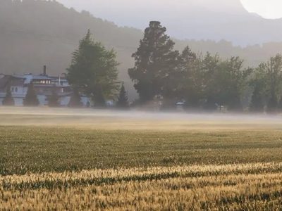 Chile firmó el decreto de expropiación de Colonia Dignidad
