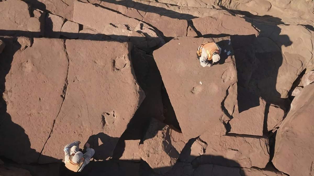Hallazgo paleontológico en El Chocón. Fuente: (Twitter)