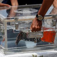 Indonesia ubica la grabadora de voz del avión de Sriwijaya Air, accidentado en enero