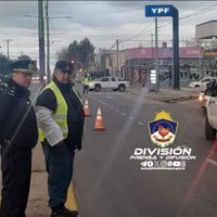 Manejaba con 1,78 gramos de alcohol en sangre en Zapala y chocó dos contenedores de residuos