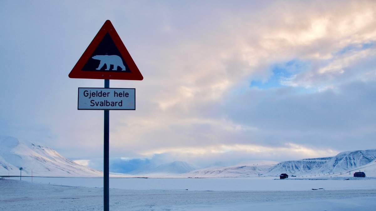 Noruega. Fuente: (Twitter)