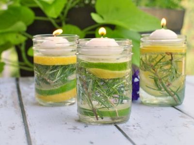 No se consigue repelente: prepará esta fórmula casera y alejá a los mosquitos de forma natural