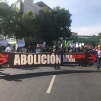 Activistas protestan afuera de la Plaza México por el regreso de las corridas de toros