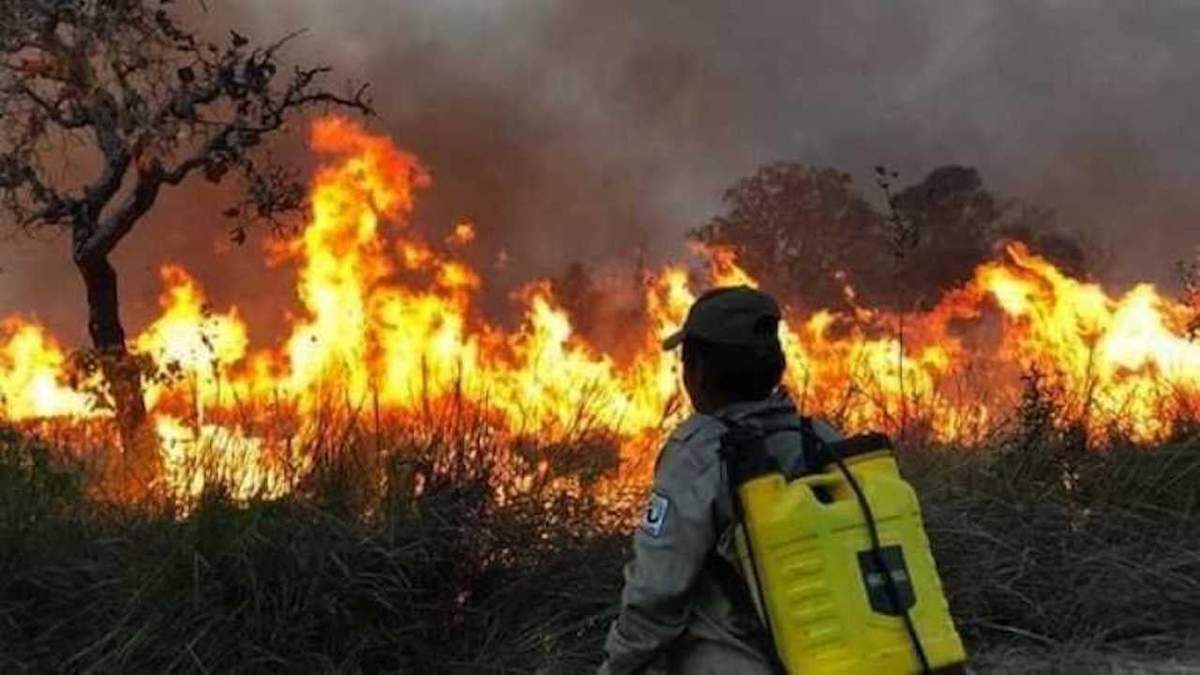 Incendios forestales. Fuente: (Instagram)