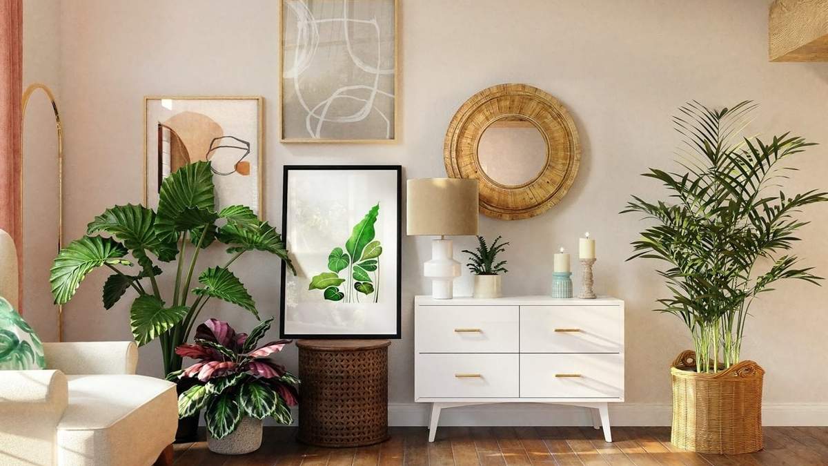 Plantas altas de interior. Fuente: (X)