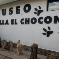 Villa El Chocón: mañana presentarán los restos de un dinosaurio carnívoro gigante