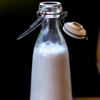 Leche de coco casera: así podés prepararla sin gastar mucho y queda tan rica como la comprada