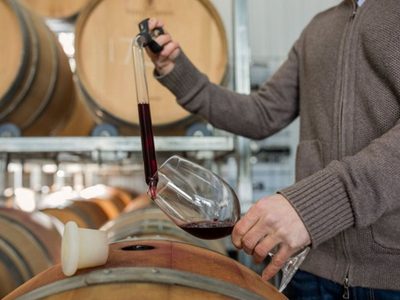 Día del enólogo: homenaje a los hacedores del vino