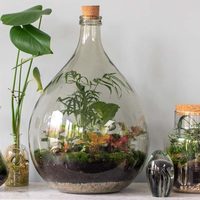 Hacé tu propio terrario para vender o decorar tu casa, con las botellas de vidrio que ibas a tirar: seguí el paso a paso
