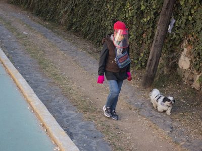 Un perro contagió de covid-19 a una familia en la Ciudad de México