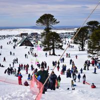 La Municipalidad de Zapala pretende reactivar el complejo de Primeros Pinos